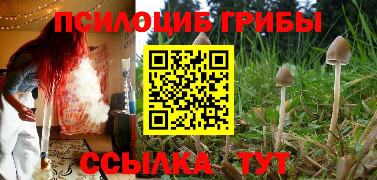 Кострома  Галлюциногенные грибы GOLDEN TEACHER  Вход с VPN 